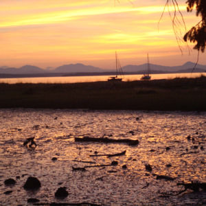 Meet your Posher, Cara